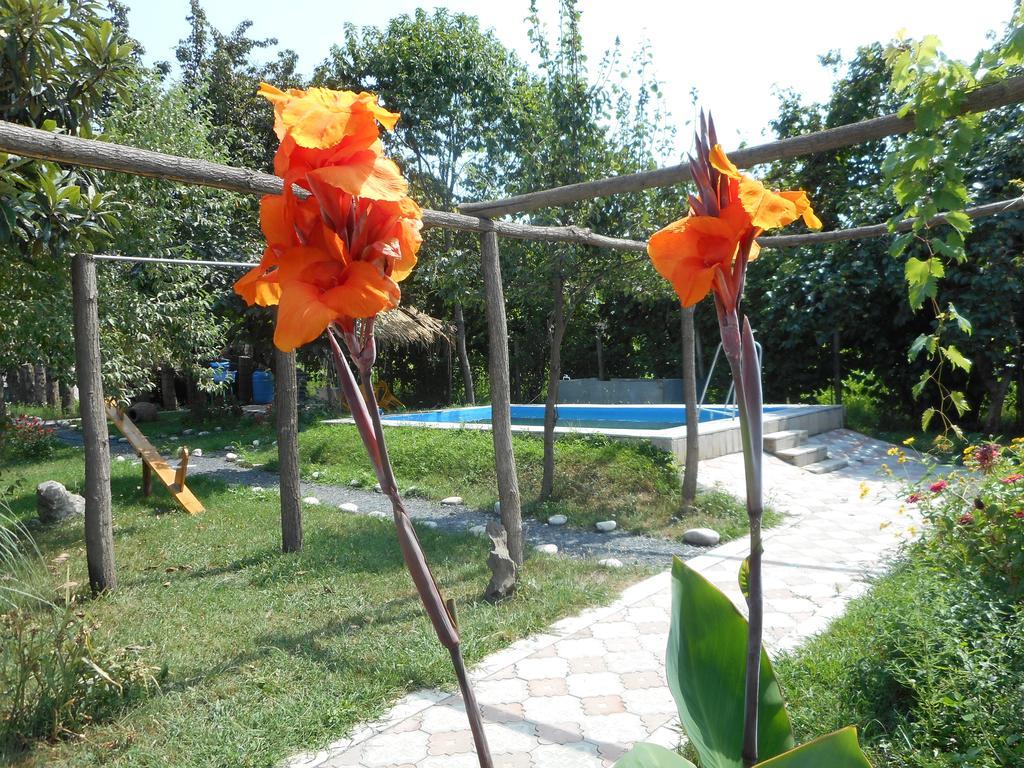 Nona Guest House Shilda Exterior foto